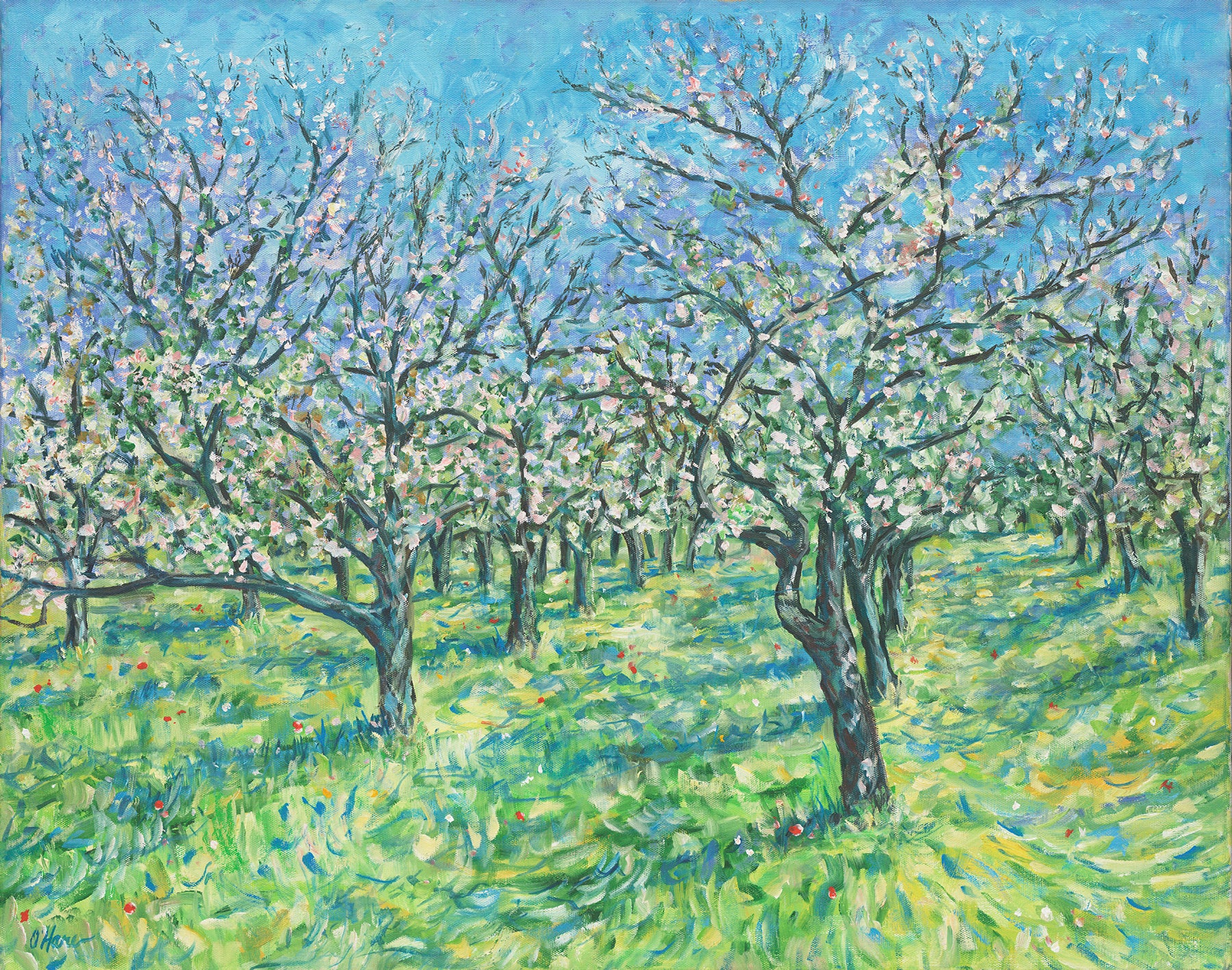 The Orchard
